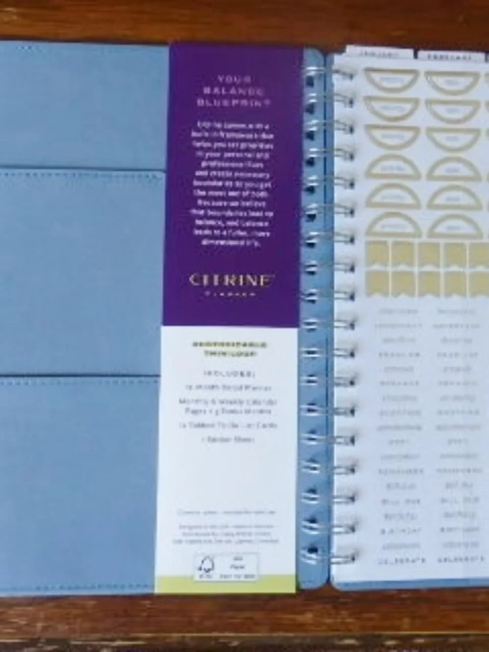 2026 Citrine Weekly & Monthly Planner PLUS